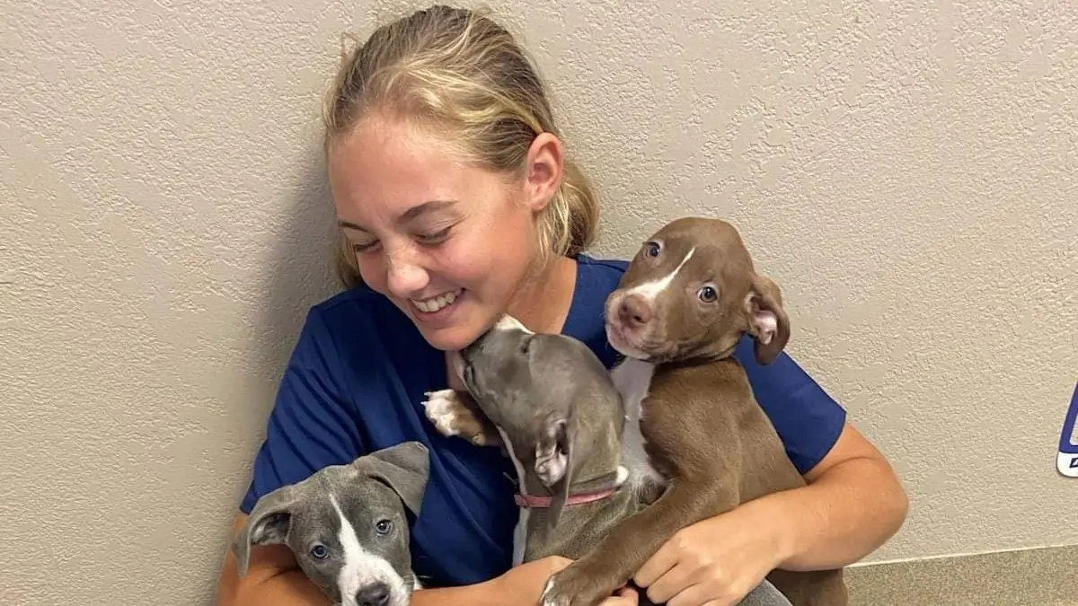 Lab tech with puppies