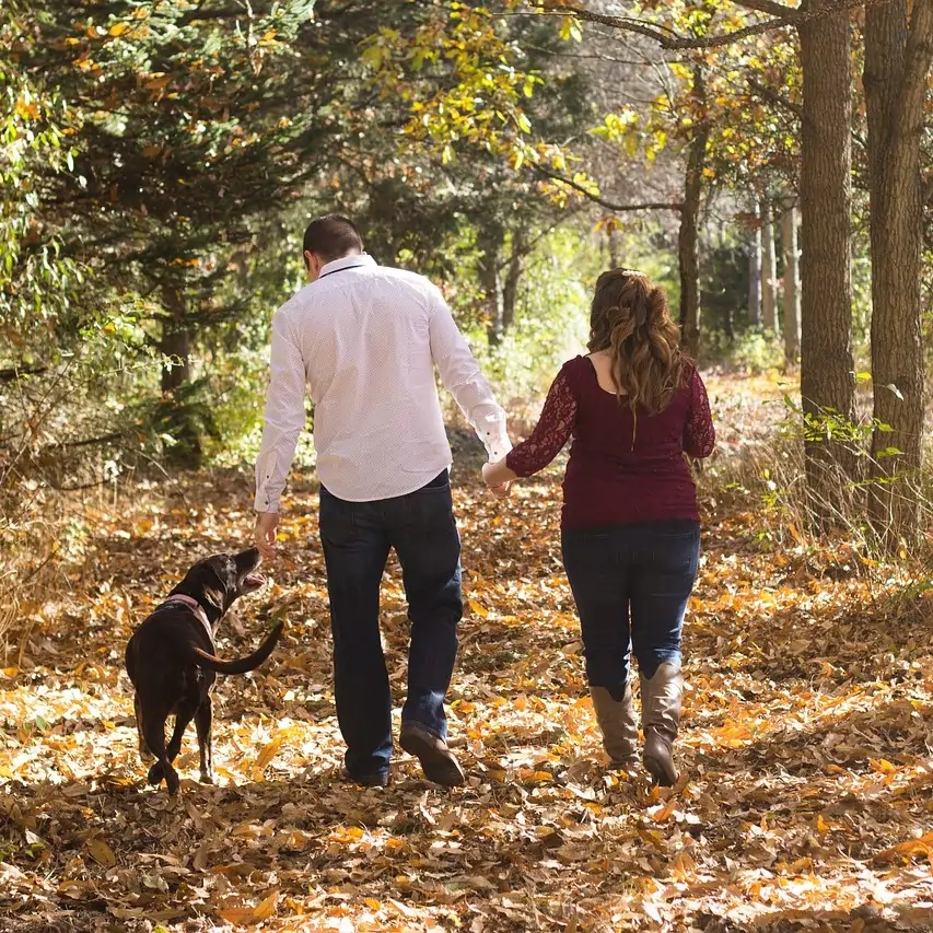 Family walking dog in woods